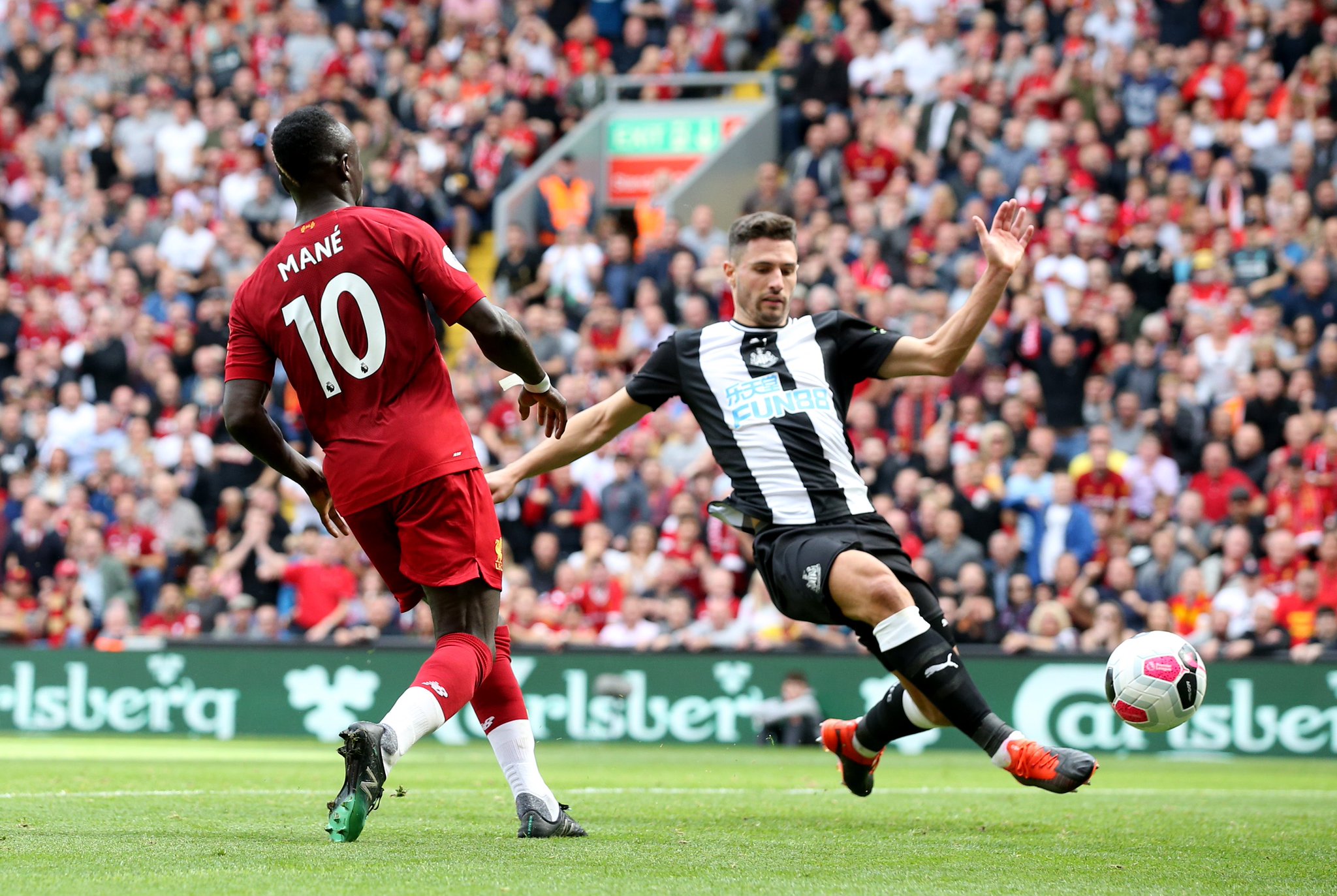 马是不可忽 马是不可忽